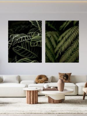 Calathea