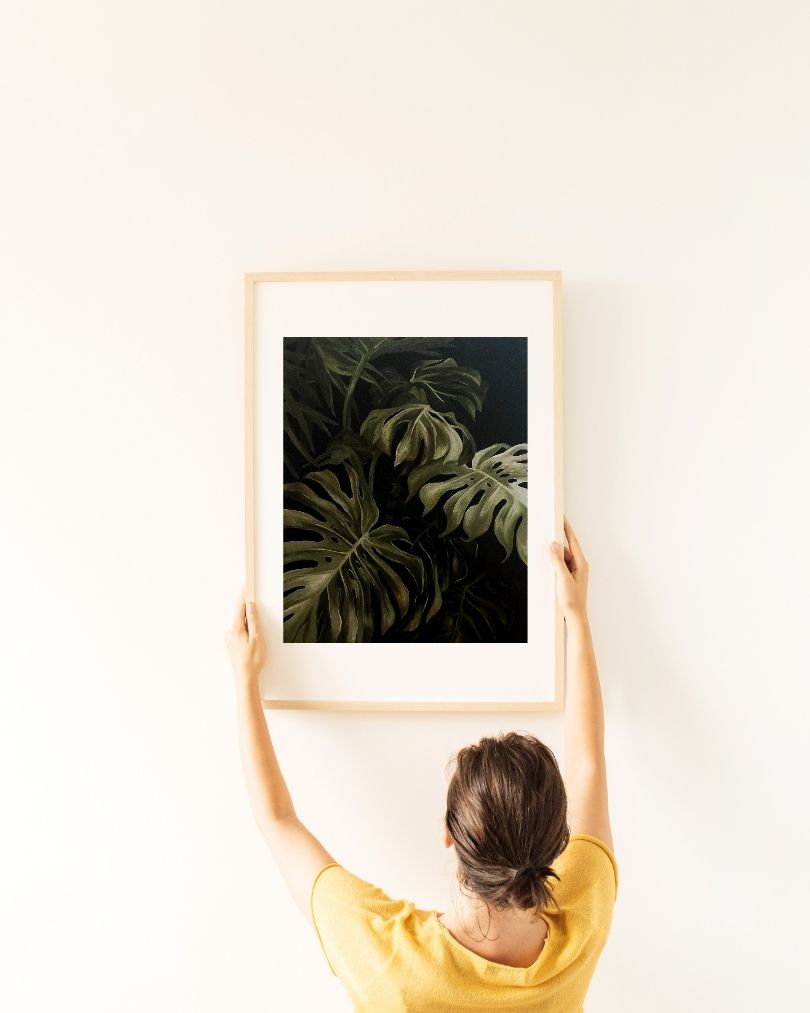 Monstera-1.jpg