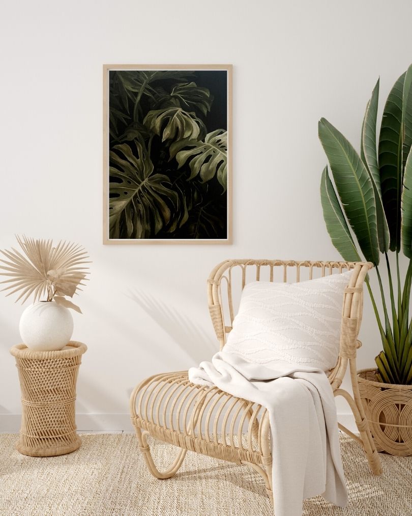 Monstera-4.jpg