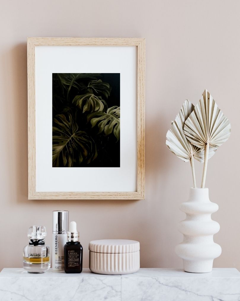 Monstera-6.jpg