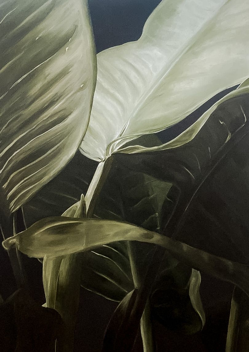 Musa-Ligna-60x80-2.jpg