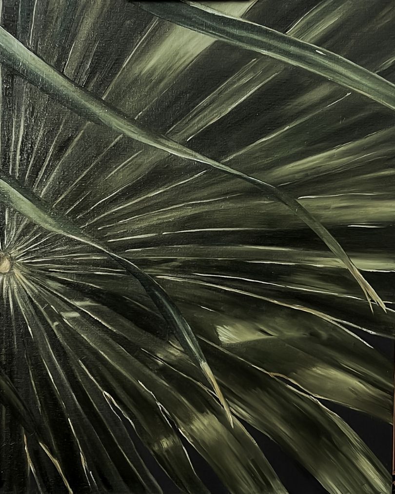 Palma-40x50-1.jpg